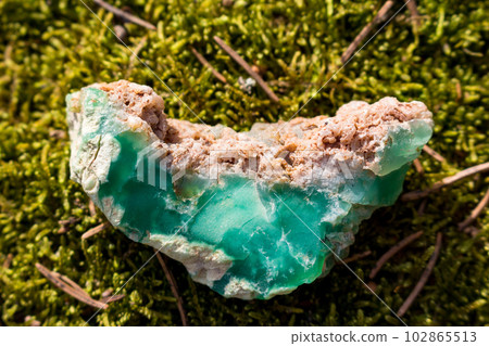 Fragment of raw green chrysoprase lying on green moss, Kazakhstan deposit 102865513