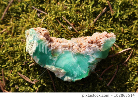 Fragment of raw green chrysoprase lying on green moss, Kazakhstan deposit 102865514