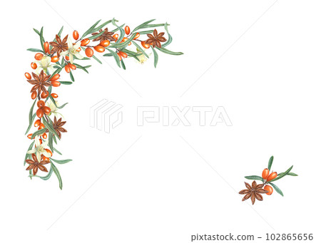 Watercolor frame of sea buckthorn, star anise, vanilla flower isolated on white. Illustration for postcard design, invitation template, birthday, Christmas and New Year cards Watercolor frame of sea buckthorn, star anise, vanilla flower isolated on white. Illustration for postcard design, invitation template, birthday, Christmas and New Year cards 102865656