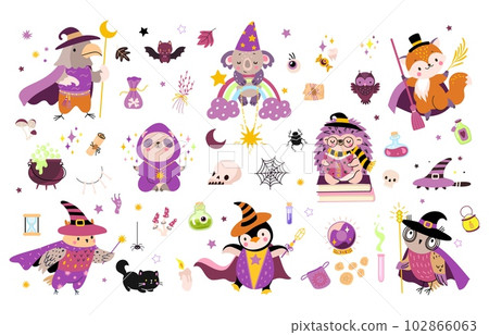 Wizard animals and magic elements. Isolated fantasy witch, wizards in mantle and hats. Poison bottles, magical game nowaday vector clipart Wizard animals and magic elements. Isolated fantasy witch, wizards in mantle and hats. Poison bottles, magical game nowaday vector clipart 102866063
