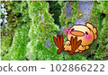 Healing moss and chicks 102866222