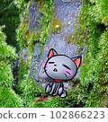 healing moss and cat 102866223
