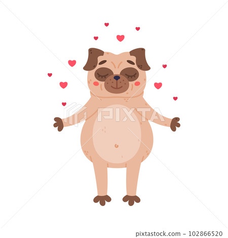 Funny Pug Dog Character with Wrinkly Face Feeling Love Emotion with Hearts Around Vector Illustration Funny Pug Dog Character with Wrinkly Face Feeling Love Emotion with Hearts Around Vector Illustration 102866520