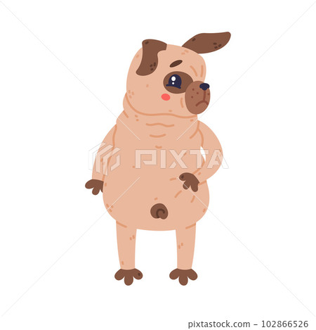 Funny Pug Dog Character with Wrinkly Grumpy Face Standing Vector Illustration Funny Pug Dog Character with Wrinkly Grumpy Face Standing Vector Illustration 102866526