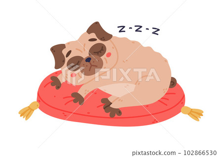 Funny Pug Dog Character with Wrinkly Face Sleeping on Red Cushion Vector Illustration Funny Pug Dog Character with Wrinkly Face Sleeping on Red Cushion Vector Illustration 102866530