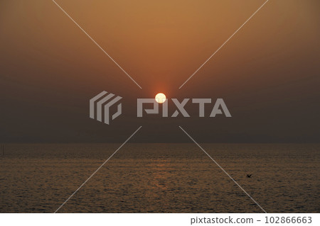 在東京灣的日出 在東京灣的日出 102866663