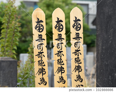 Sotoba lined up in the cemetery Sotoba lined up in the cemetery 102866666