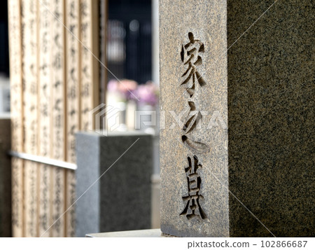 Cemetery Tombstone and Stupa 102866687