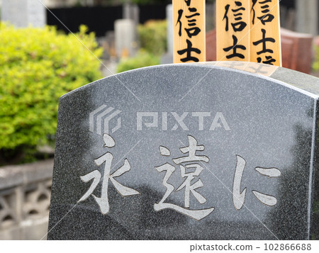 公墓墓碑和佛塔 102866688