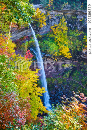 Stunning tall waterfall over cliffs is surrounded by colorful peak fall foliage Stunning tall waterfall over cliffs is surrounded by colorful peak fall foliage 102866839
