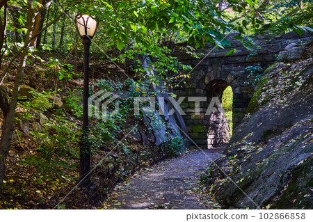 Trail with lamppost and stone tunnel in Central Park woods New York City Trail with lamppost and stone tunnel in Central Park woods New York City 102866858