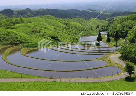 Ogi terraced rice fields during rice planting season (Kumamoto Prefecture Sansan Village, Important Cultural Landscape) Ogi terraced rice fields during rice planting season (Kumamoto Prefecture Sansan Village, Important Cultural Landscape) 102866927