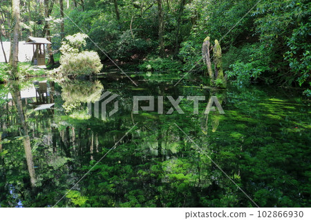 Ikeyama Springs in early summer (Kumamoto Prefecture Mountain Village Top 100 Famous Springs) Ikeyama Springs in early summer (Kumamoto Prefecture Mountain Village Top 100 Famous Springs) 102866930