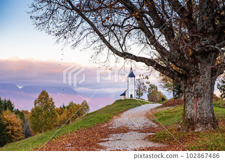 Church Jamnik, Slovenia 102867486