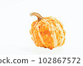 Decorative pumpkin isolated on a white background 102867572