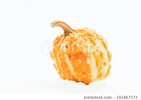 Decorative pumpkin isolated on a white background 102867572