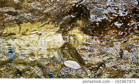 千葉縣市原市養老河渾濁腫脹的岩石 102867871