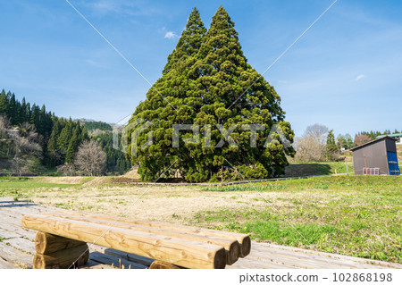 “山形縣”藍天和龍貓樹 “山形縣”藍天和龍貓樹 102868198