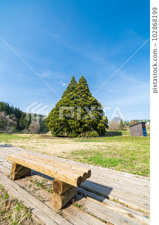 “山形縣”藍天和龍貓樹 102868199