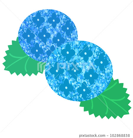 Mizuiro hydrangea 102868838