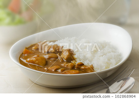 Pork curry 102868904