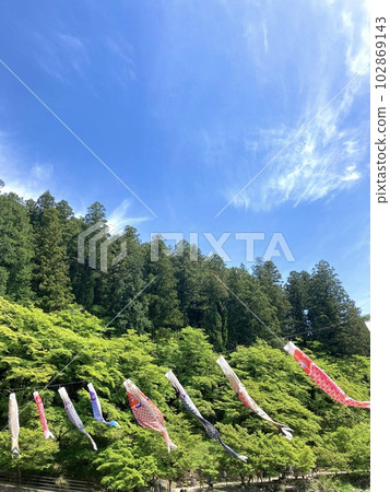 Koinobori in nature Koinobori in nature 102869143