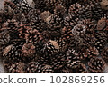 Material covered with pine cones 102869256