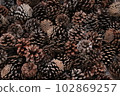 Material covered with pine cones 102869257