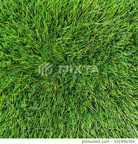 grass tile_10 102869394