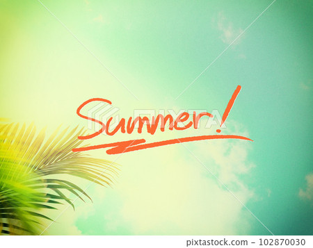 懷舊的夏日海灘 懷舊的夏日海灘 102870030
