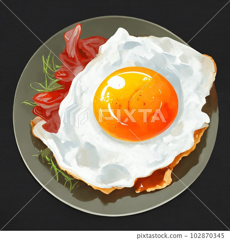 Illustration of fried egg Illustration of fried egg 102870345