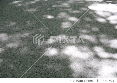 The faint shadow of sunlight filtering through the trees and reflected on the ground The faint shadow of sunlight filtering through the trees and reflected on the ground 102870795