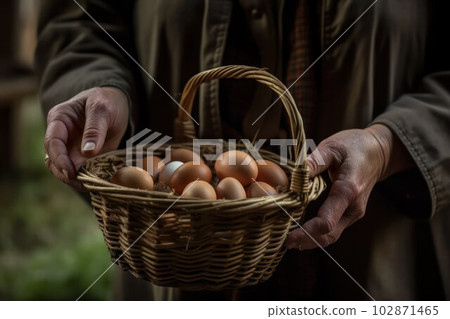 children's hands hold eggs collected in the chicken coop. Farm 102871465