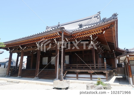 對馬市青神坊 102871966