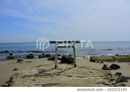 愛知縣南知多町圓浦鳥居 102872195