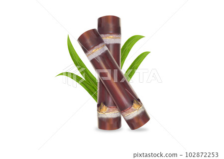 Closeup sugar cane and brown sugar isolated on white background 102872253