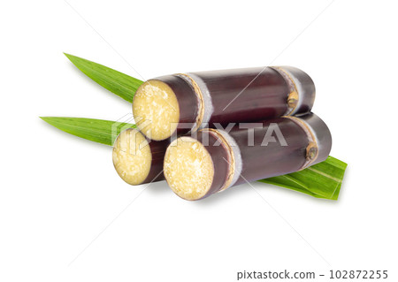 Closeup sugar cane and brown sugar isolated on white background 102872255