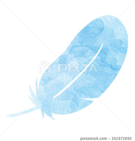 美麗的羽毛水彩插圖 102872692