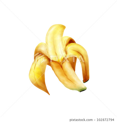 Banana Banana 102872794