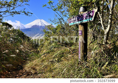 從多子地塊的飯盛山山頂看到的富士山 從多子地塊的飯盛山山頂看到的富士山 102873099