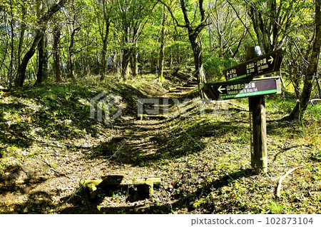 Mt. Ohira Hiking Course in the Doshi Massif Mt. Nagaike Yamanakako Hana no Miyako Park Branch Mt. Ohira Hiking Course in the Doshi Massif Mt. Nagaike Yamanakako Hana no Miyako Park Branch 102873104