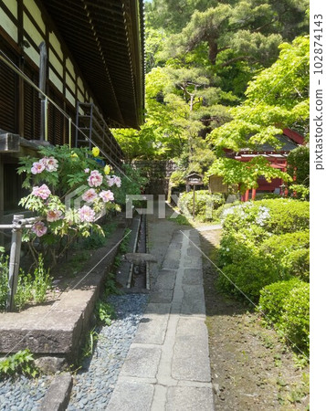 Kisofukushima's scenic spot Kozenji temple in early summer Japan's largest rock garden Kisofukushima's scenic spot Kozenji temple in early summer Japan's largest rock garden 102874143
