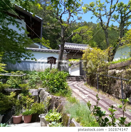 Kisofukushima's scenic spot Kozenji temple in early summer Japan's largest rock garden Kisofukushima's scenic spot Kozenji temple in early summer Japan's largest rock garden 102874147