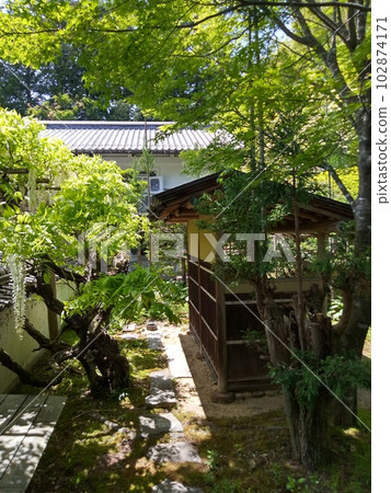 初夏木曾福島的名勝光善寺 日本最大的假山庭園 初夏木曾福島的名勝光善寺 日本最大的假山庭園 102874171