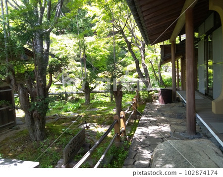 Kisofukushima's scenic spot Kozenji temple in early summer Japan's largest rock garden Kisofukushima's scenic spot Kozenji temple in early summer Japan's largest rock garden 102874174
