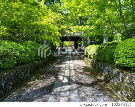 Kisofukushima's scenic spot Kozenji temple in early summer Japan's largest rock garden Kisofukushima's scenic spot Kozenji temple in early summer Japan's largest rock garden 102874195