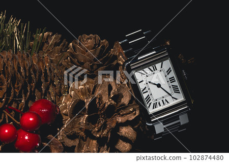 Luxury watch 102874480