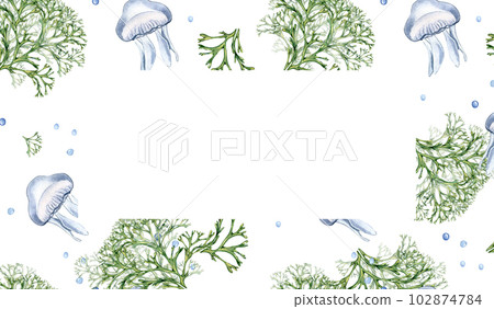 Frame of green sea plant and jellyfish watercolor illustration isolated on white background. Codium seaweed hand drawn. Design for package, board, invitation, banner, wrapping, marine collection Frame of green sea plant and jellyfish watercolor illustration isolated on white background. Codium seaweed hand drawn. Design for package, board, invitation, banner, wrapping, marine collection 102874784