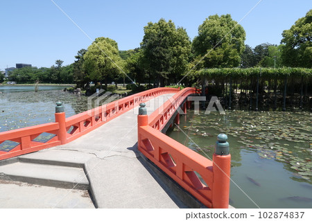 Tsushima Tennogawa Park Tsushima Tennogawa Park 102874837