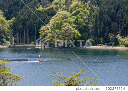 Oshima Seto oyster farming on Kesennuma Oshima Oshima Seto oyster farming on Kesennuma Oshima 102875314